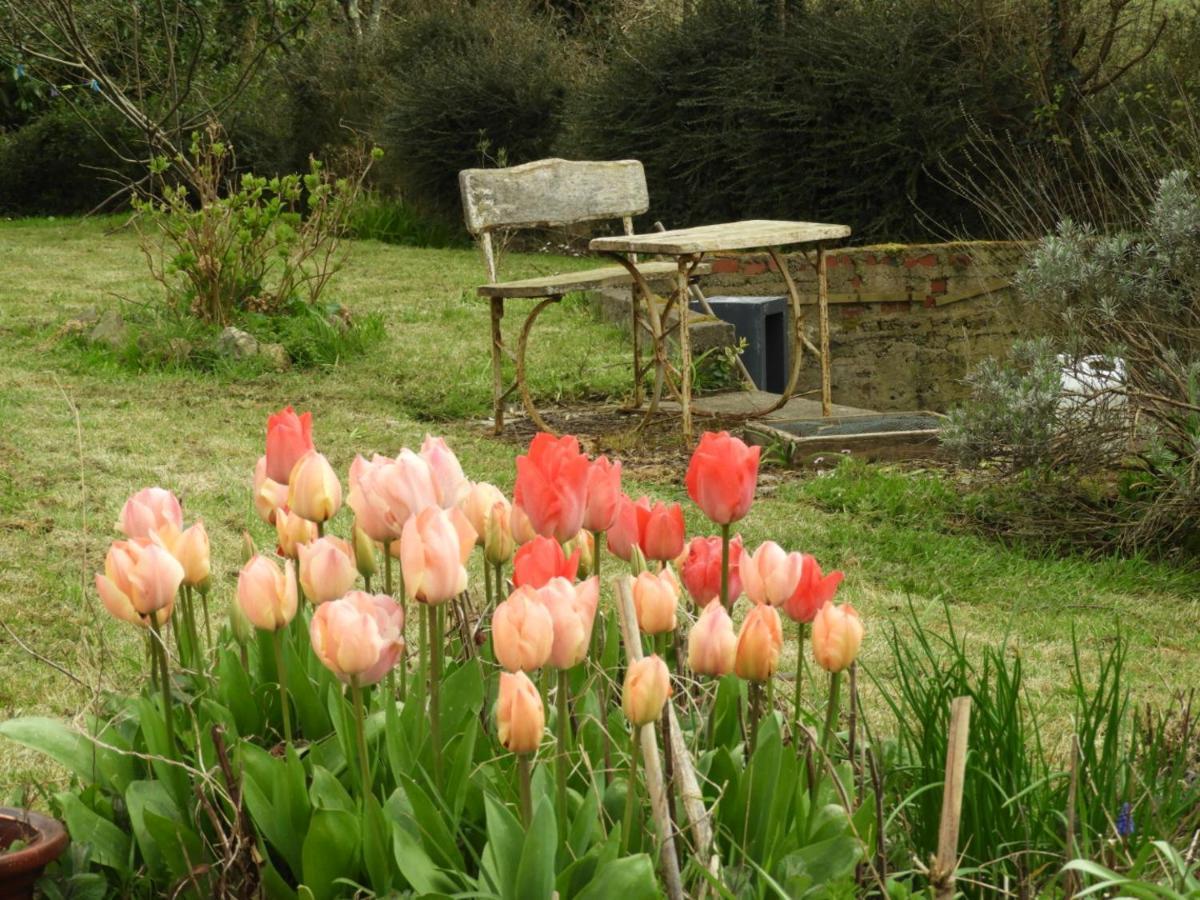 Au Domaine De Sophie Chambres D'Hotes Crasville  ภายนอก รูปภาพ