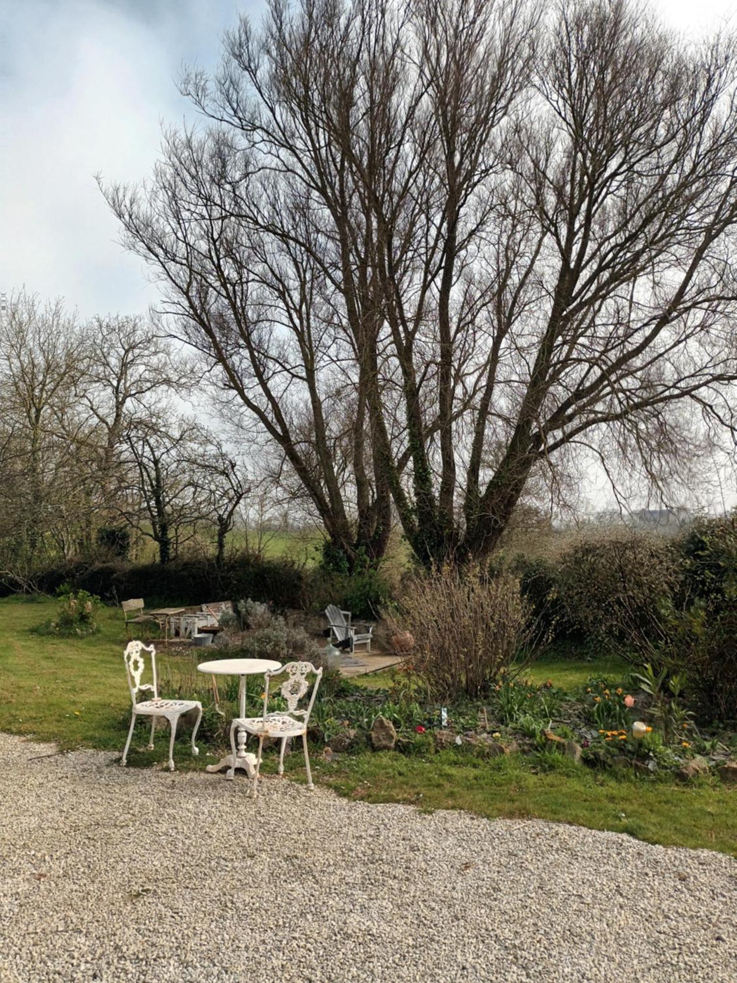 Au Domaine De Sophie Chambres D'Hotes Crasville  ภายนอก รูปภาพ